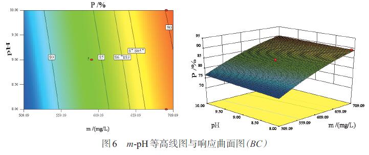 圖6 m-pH等高線圖與響應(yīng)曲面圖(BC)